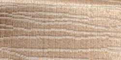 aimar 03 camello