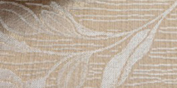 aitana 02 camello