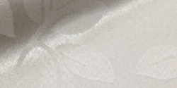 corelli 01 crema