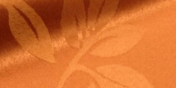 corelli 05 naranja