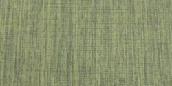 magnetic 10 olivo