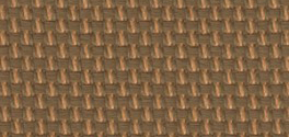 brunei 04 paja