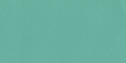 aqua 407