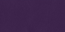 morado 840