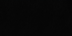 negro 200