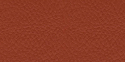 orange 534