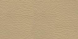 vainilla 1106