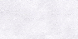 blanco 100