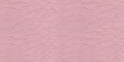 rosa 761