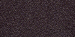 chocolate 6184