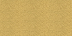mostaza 6054