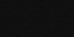 negro 200
