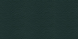 verde 462