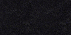 negro 200