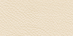 ivory 1110
