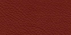 mandarina 5153