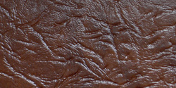 spicy brown