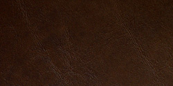 saddle
