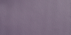 wood violet