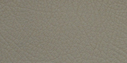 shell beige